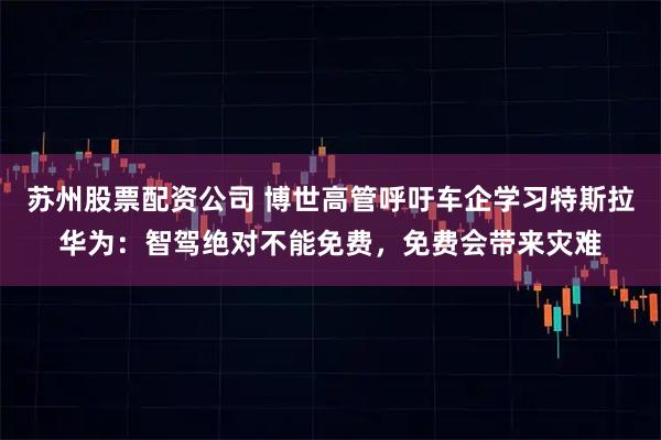 苏州股票配资公司 博世高管呼吁车企学习特斯拉华为：智驾绝对不能免费，免费会带来灾难
